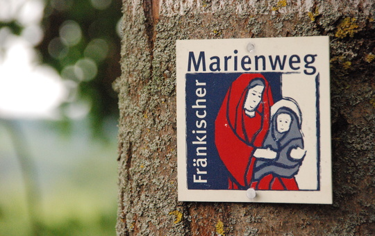 Wegzeichen des Fränkischen Marienwegs an einem Baum 